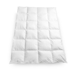 Paplón Excelent páperový